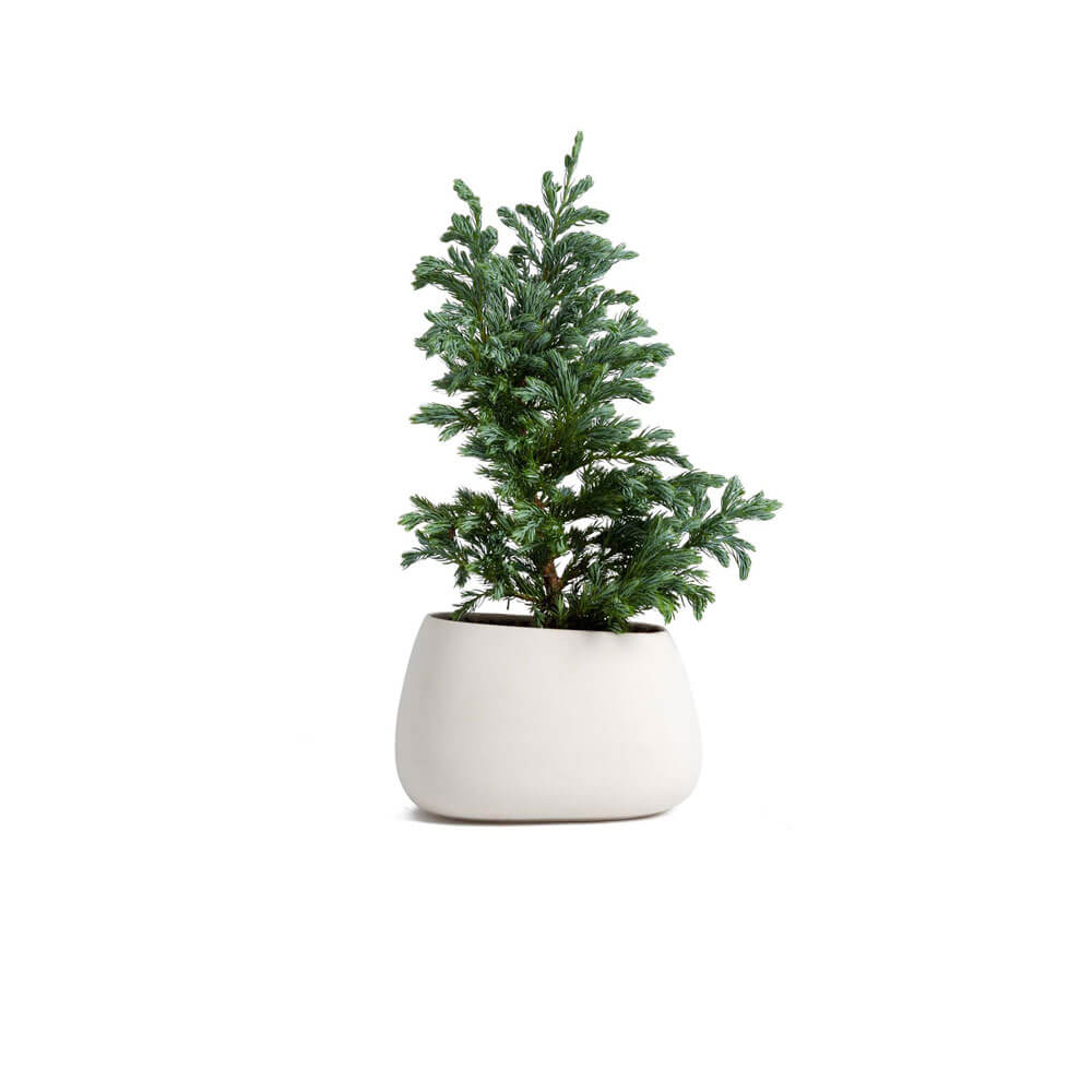 pro_06 (1)